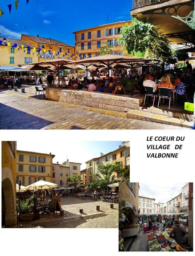 Les Chenes Verts Valbonne Exterior photo